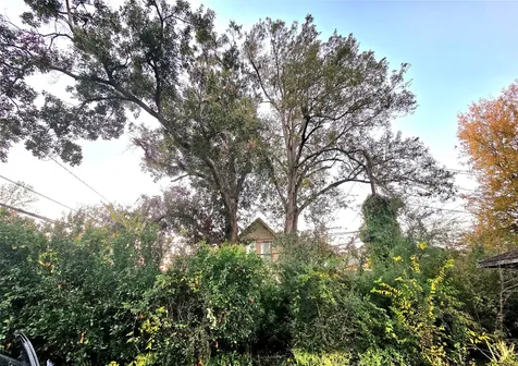 851 Jaquet Drive Bellaire TX 77401