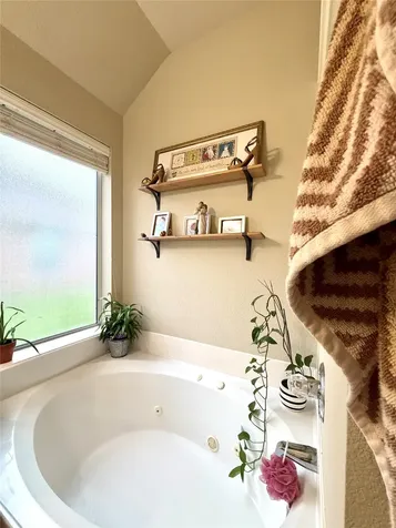20819 Ochre Willow Trail Cypress TX 77433