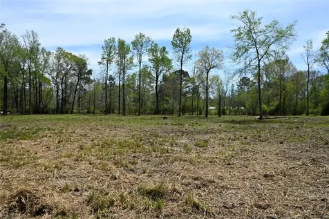 Lot 4 County Road 2360 Hardin TX 77575