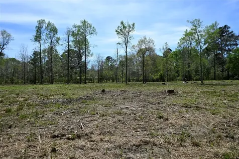Lot 4 County Road 2360 Hardin TX 77575