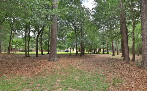 15026 Timbershade Crossing Magnolia TX 77355