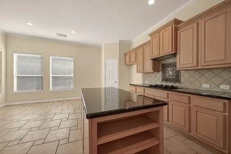 10106 Lost Hollow Lane Missouri City TX 77459