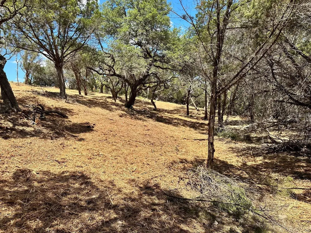 2120 Passare New Braunfels TX 78132