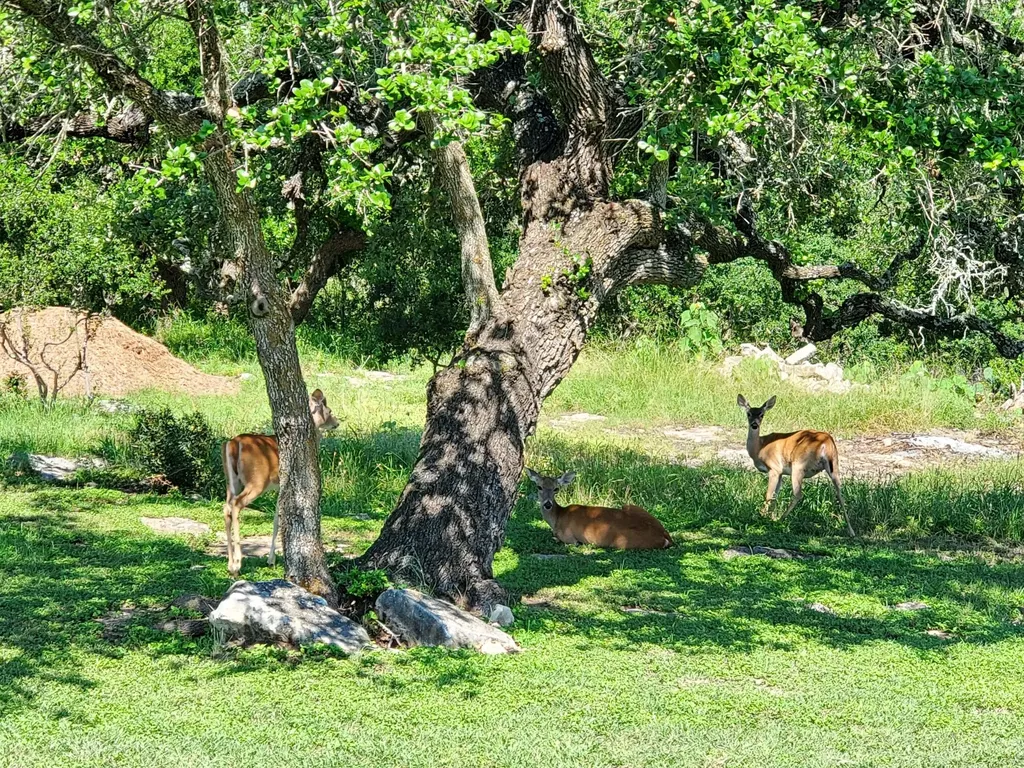 2120 Passare New Braunfels TX 78132