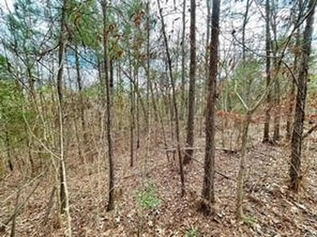 414 County Road 3416 Cleveland TX 77327