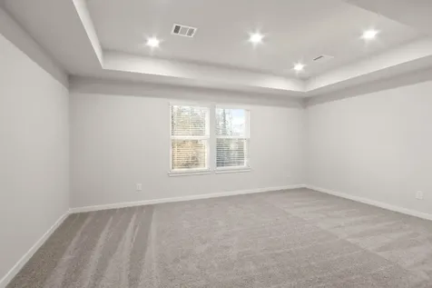 526 Tawny Rim Drive Willis TX 77318