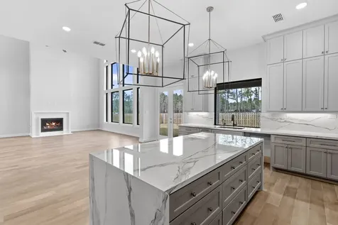 41692 Wendele Way Montgomery TX 77316