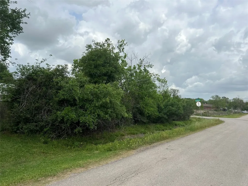 5810 Judy Street Rosharon TX 77583