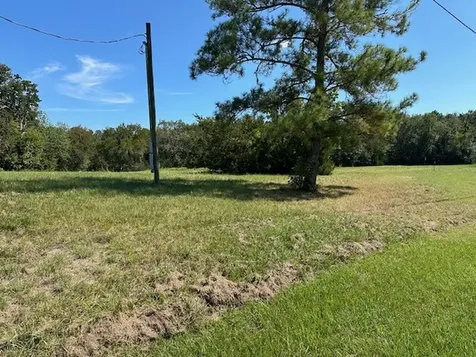 20 Scenic Wood Drive Coldspring TX 77331