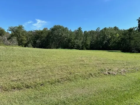 20 Scenic Wood Drive Coldspring TX 77331