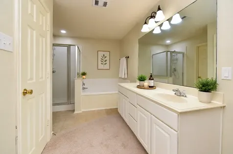 29631 Turnbury Village Drive Spring TX 77386