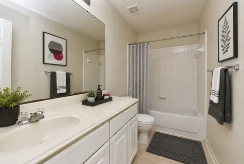 29631 Turnbury Village Drive Spring TX 77386