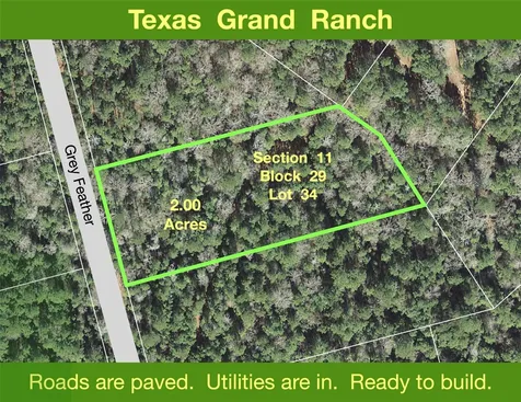 11-29-34 Grey Feather Road Huntsville TX 77340