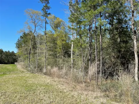 11-29-34 Grey Feather Road Huntsville TX 77340