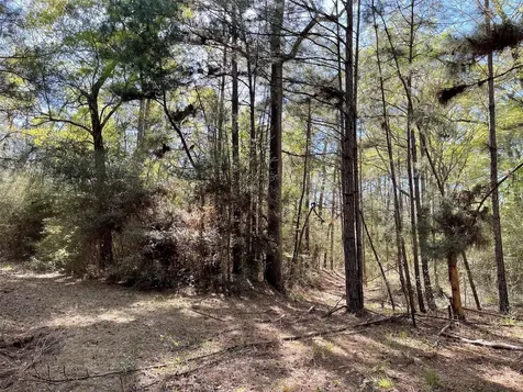 11-29-34 Grey Feather Road Huntsville TX 77340