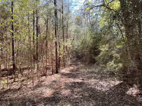 11-29-34 Grey Feather Road Huntsville TX 77340