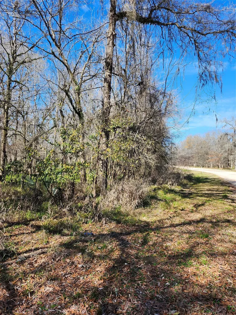 Tbd Center Drive Cleveland TX 77327