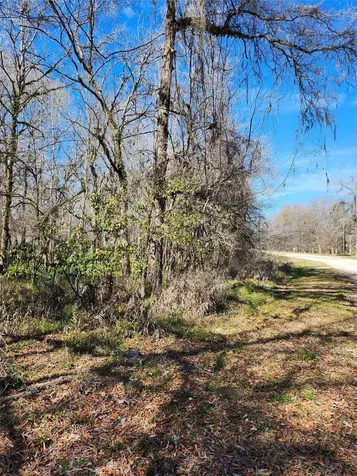 Tbd Center Drive Cleveland TX 77327