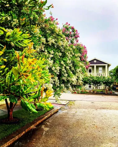 2010 Strand Street 303 Galveston TX 77550