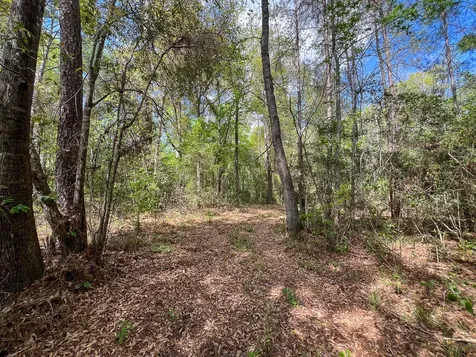 1 Fm 2665 Goodrich TX 77351