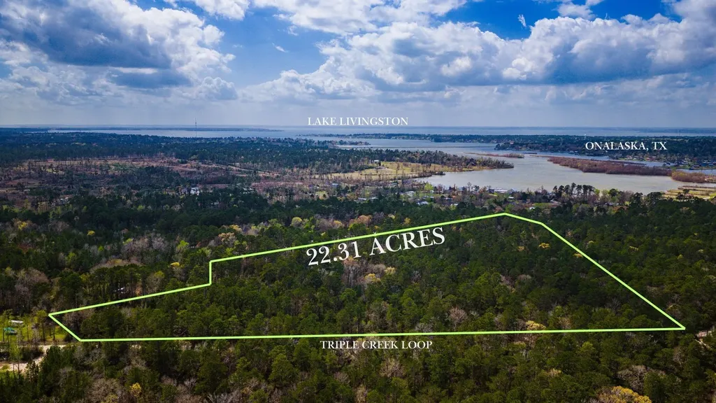 Tbd Tract 4 Triple Creek Loop Livingston TX 77351