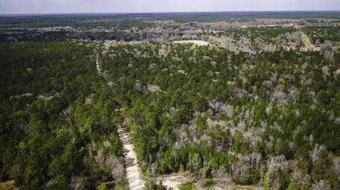 Tbd Tract 4 Triple Creek Loop Livingston TX 77351