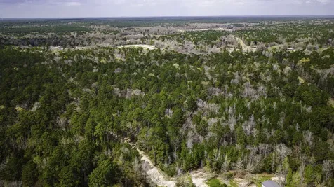 Tbd Tract 4 Triple Creek Loop Livingston TX 77351