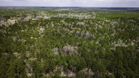 Tbd Tract 4 Triple Creek Loop Livingston TX 77351
