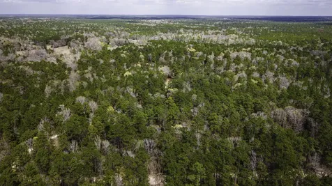 Tbd Tract 4 Triple Creek Loop Livingston TX 77351