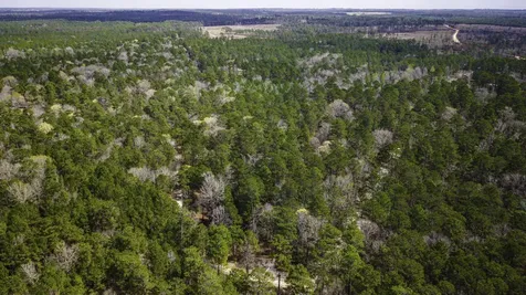 Tbd Tract 4 Triple Creek Loop Livingston TX 77351