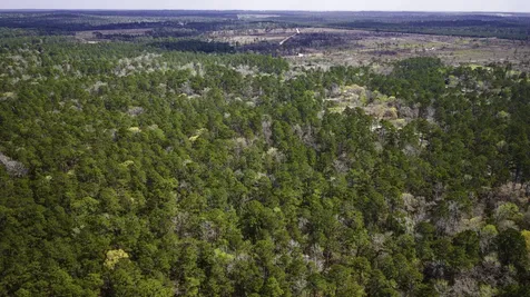 Tbd Tract 4 Triple Creek Loop Livingston TX 77351