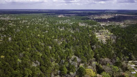 Tbd Tract 4 Triple Creek Loop Livingston TX 77351