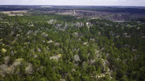 Tbd Tract 4 Triple Creek Loop Livingston TX 77351