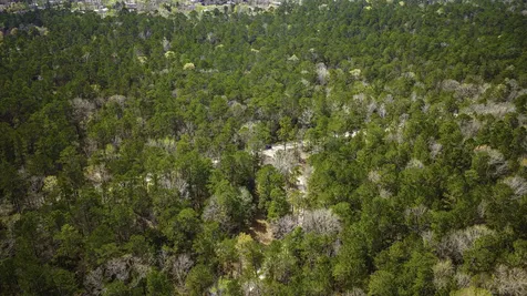 Tbd Tract 4 Triple Creek Loop Livingston TX 77351