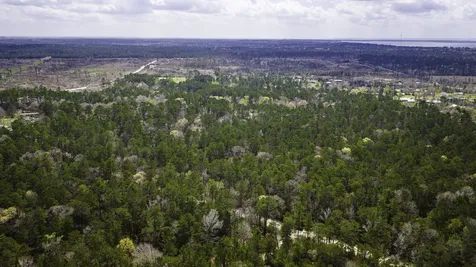 Tbd Tract 4 Triple Creek Loop Livingston TX 77351