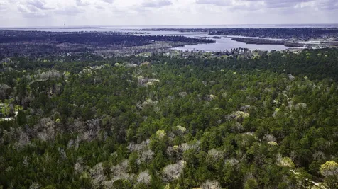Tbd Tract 4 Triple Creek Loop Livingston TX 77351
