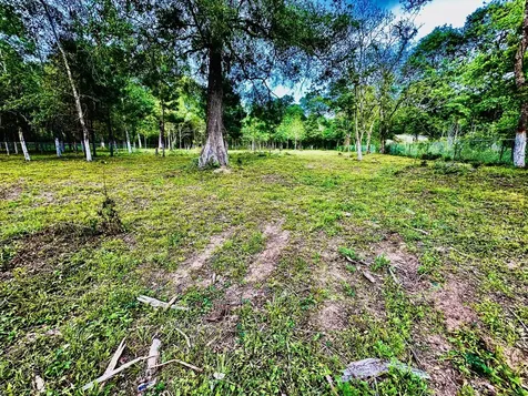 3658 Reaves Road Cleveland TX 77328