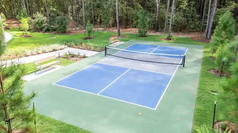 25255 Leather Leaf Court Montgomery TX 77316