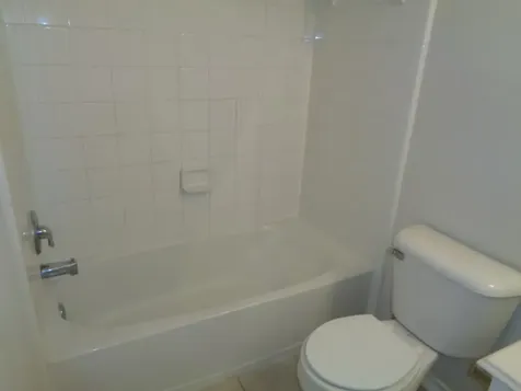 17147 Oakwood Chase Drive Spring TX 77379