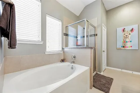 9403 Vista Falls Court Richmond TX 77469