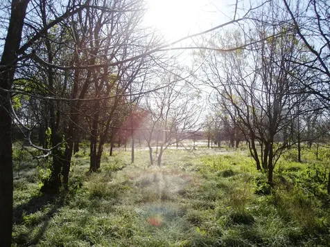 11913 Mcangus Road Del Valle TX 78617