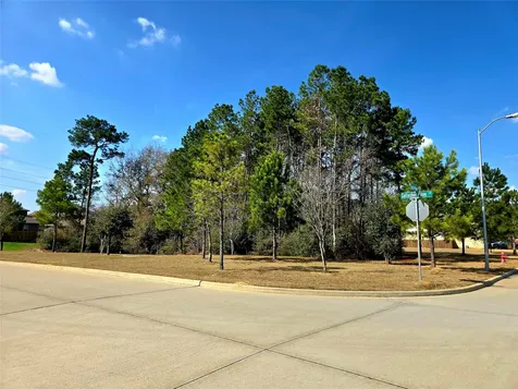 21907 Gallagher Pines Lane Hockley TX 77447