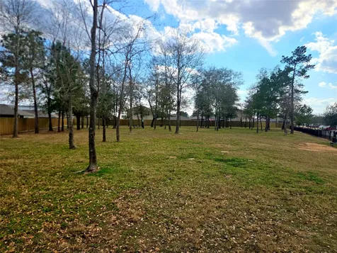 21907 Gallagher Pines Lane Hockley TX 77447