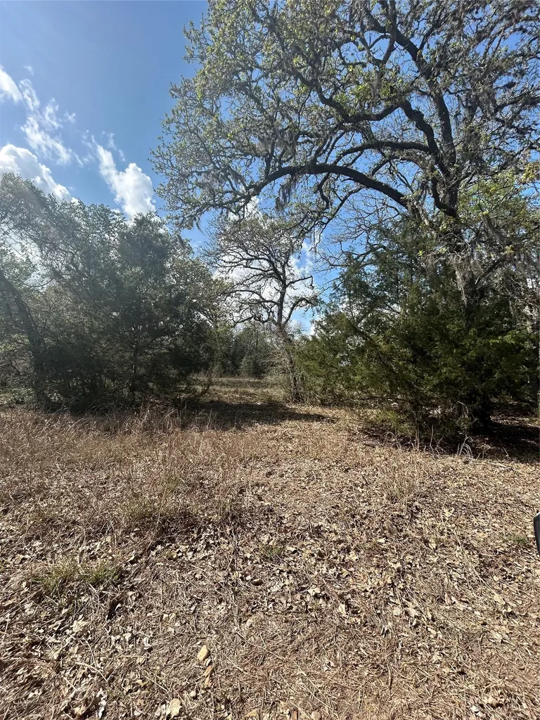 3060 Brunes Mill Road Columbus TX 78934