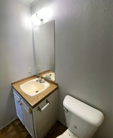 11734 Greensbrook Forest Drive Houston TX 77044