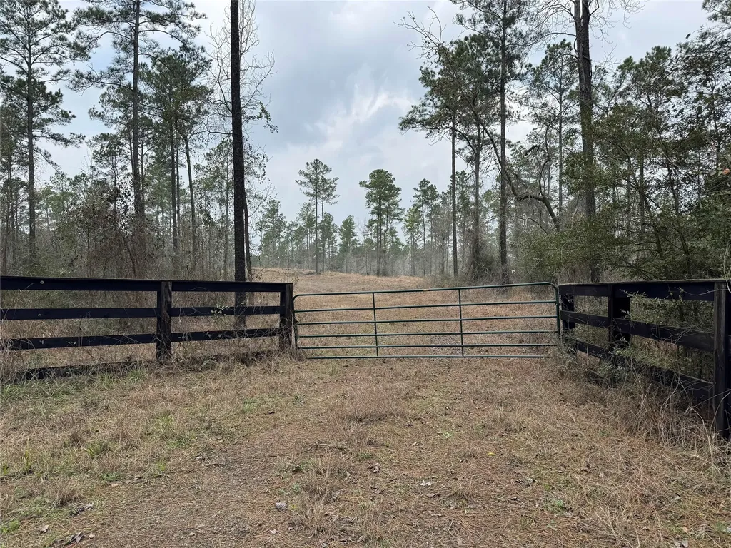 090 County Road Divide Pineland TX 75968
