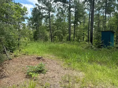 090 County Road Divide Pineland TX 75968