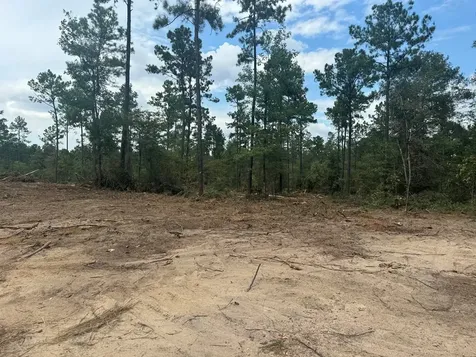 090 County Road Divide Pineland TX 75968