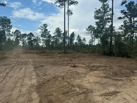 090 County Road Divide Pineland TX 75968