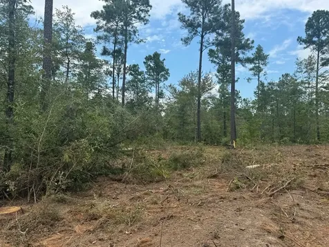 090 County Road Divide Pineland TX 75968